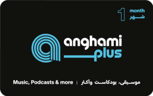 أنغامي بلس - 6 أشهر