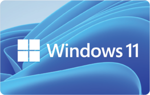 Microsoft Windows 11 Pro